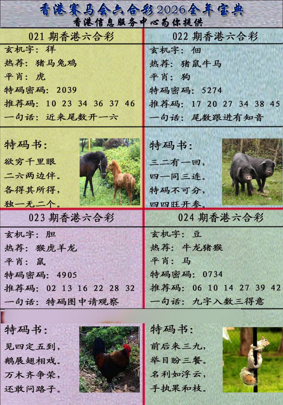 024期宝典报[图]