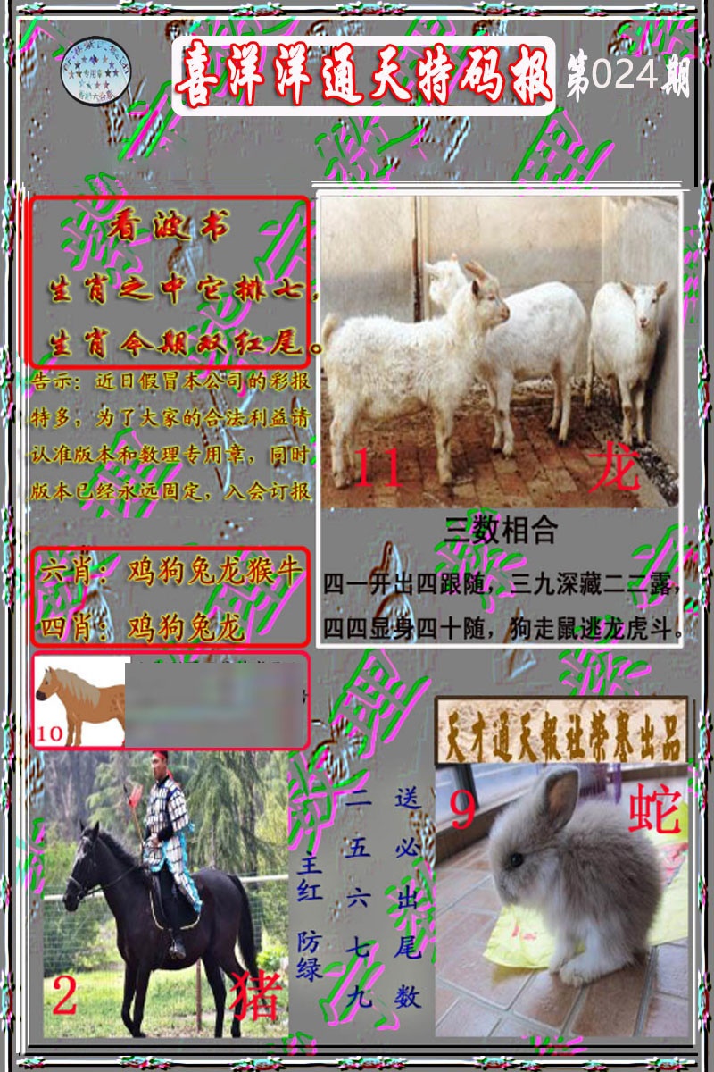 024期洋通报[图]